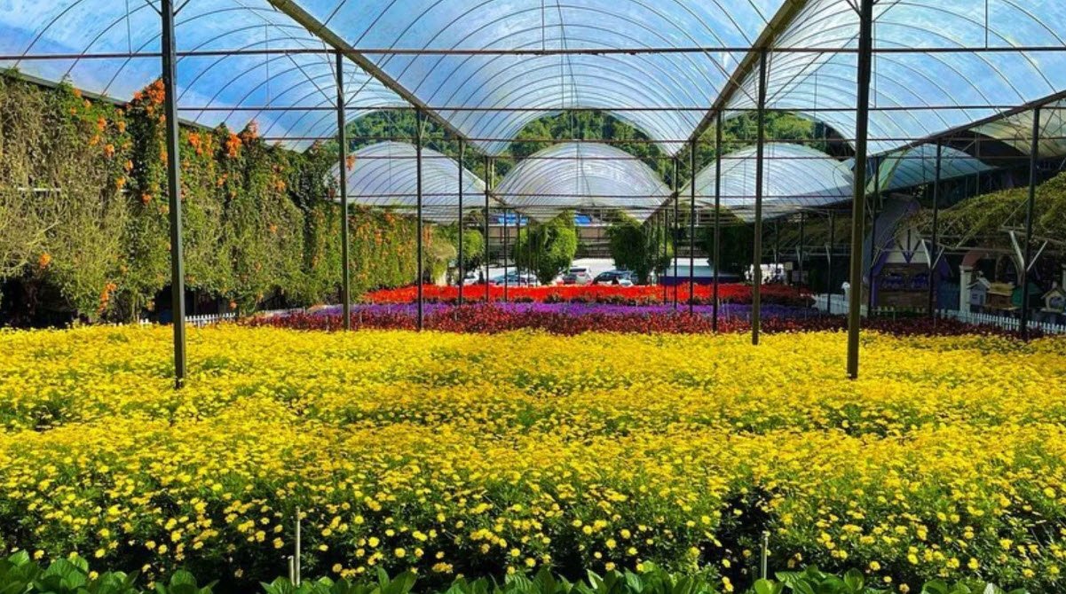 Cameron Highlands Flora Park, Malaysia